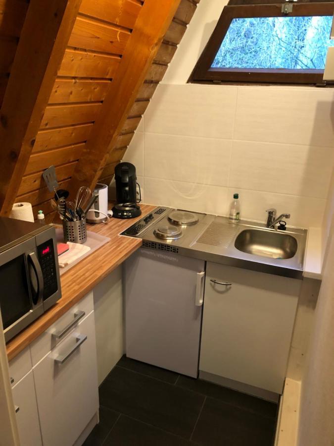 Ferienhaeuser Am Waldschloesschen Lautenthal Extérieur photo