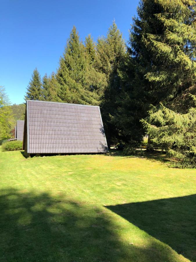 Ferienhaeuser Am Waldschloesschen Lautenthal Extérieur photo
