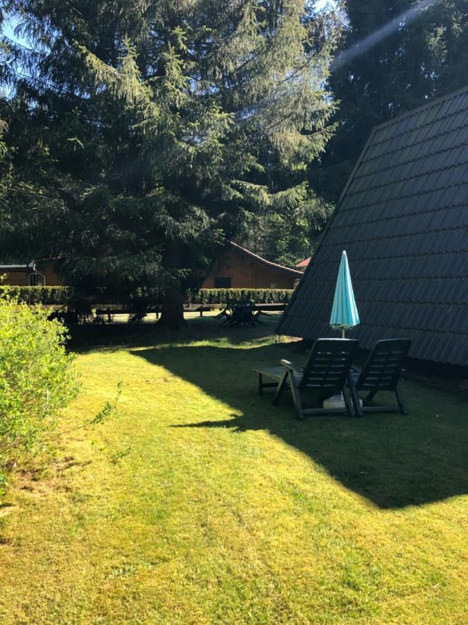 Ferienhaeuser Am Waldschloesschen Lautenthal Extérieur photo