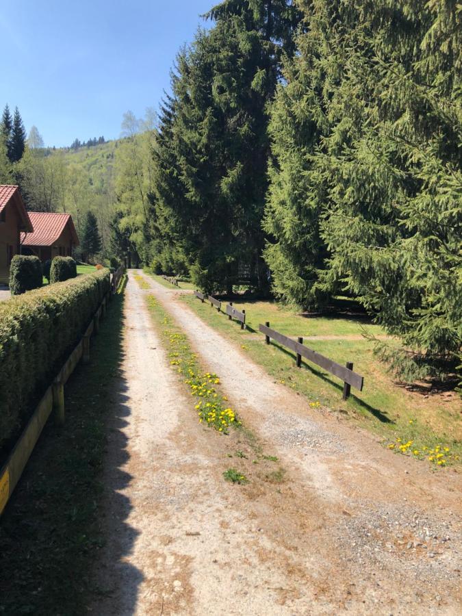 Ferienhaeuser Am Waldschloesschen Lautenthal Extérieur photo