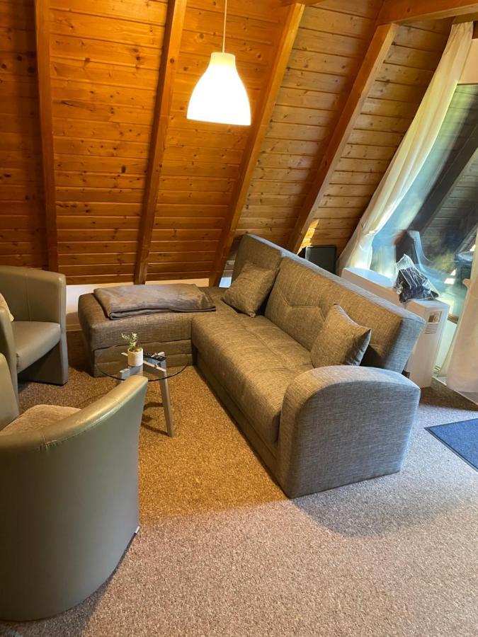 Ferienhaeuser Am Waldschloesschen Lautenthal Extérieur photo