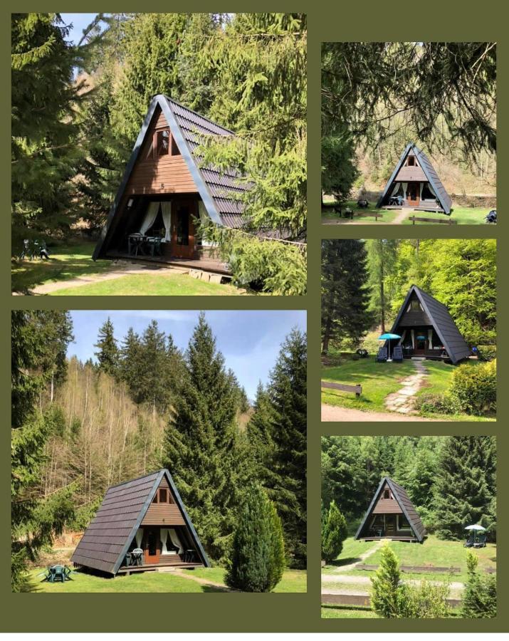 Ferienhaeuser Am Waldschloesschen Lautenthal Extérieur photo