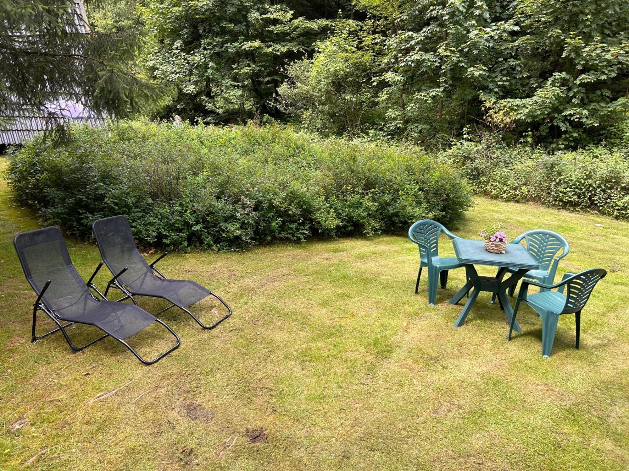 Ferienhaeuser Am Waldschloesschen Lautenthal Extérieur photo