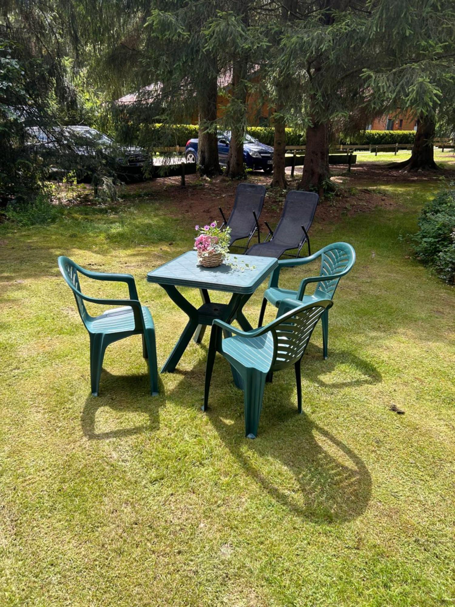 Ferienhaeuser Am Waldschloesschen Lautenthal Extérieur photo