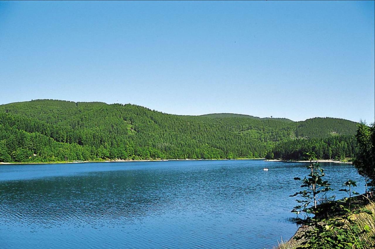 Ferienhaeuser Am Waldschloesschen Lautenthal Extérieur photo