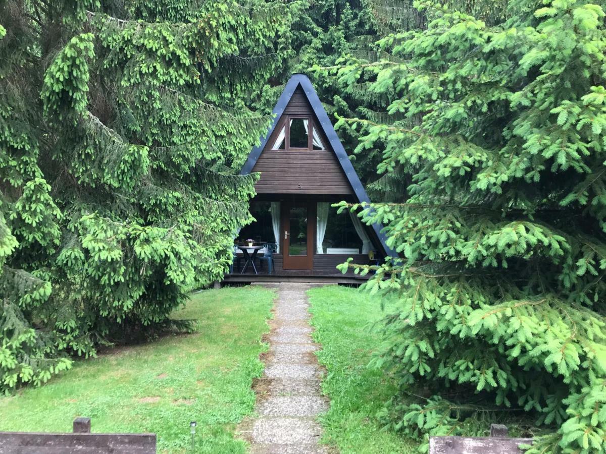 Ferienhaeuser Am Waldschloesschen Lautenthal Extérieur photo