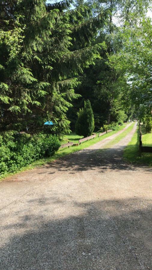 Ferienhaeuser Am Waldschloesschen Lautenthal Extérieur photo